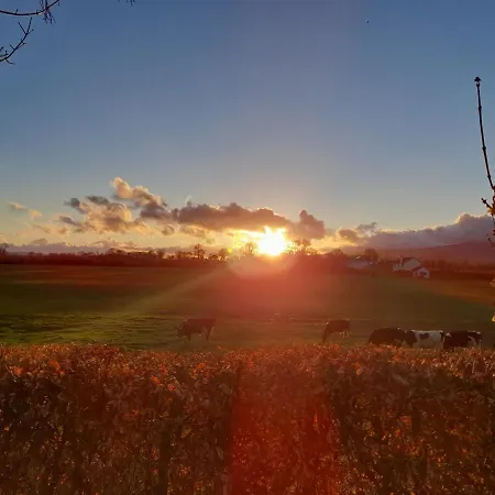 Holiday home Annaswood Glamping