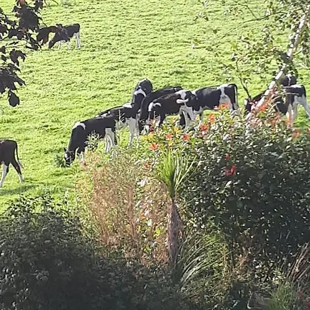 Annaswood Glamping Holiday home Cahir